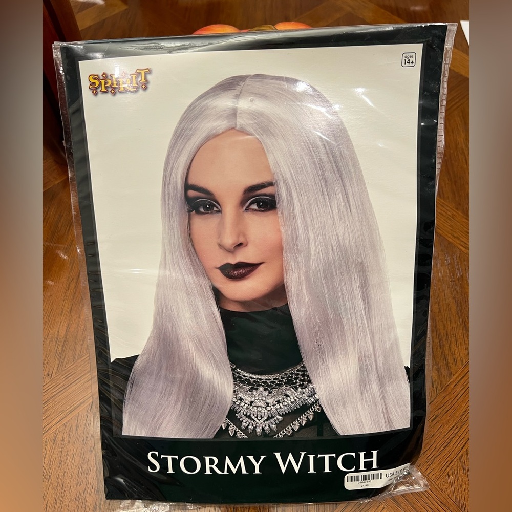 Spirit of Halloween Silver Sleek Wig for Dramatic Looks